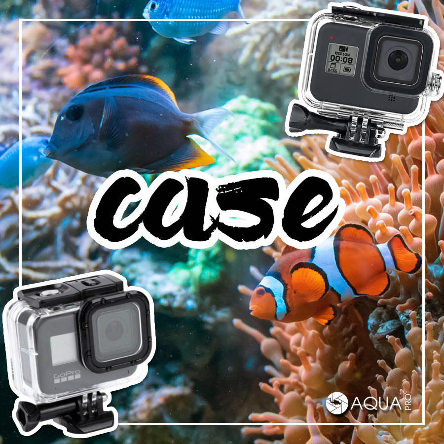 ถ่ายใต้น้ำ - case เคสกันน้ำ