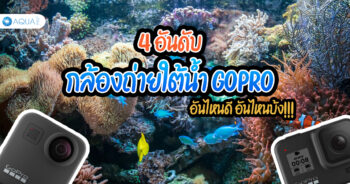 4 อันดับ กล้องถ่ายใต้น้ำ GoPro อันไหนดี อันไหนบ้ง!!!