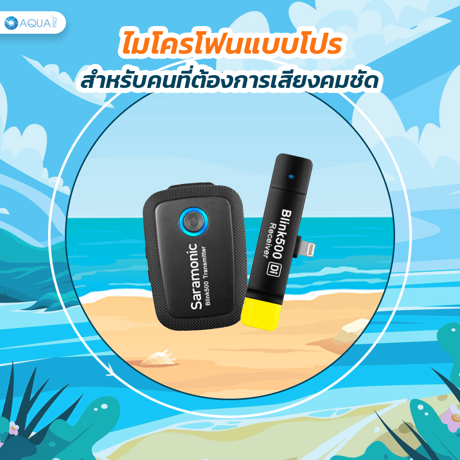 อุปกรณ์เสริม GoPro 10 ไมโครโฟน