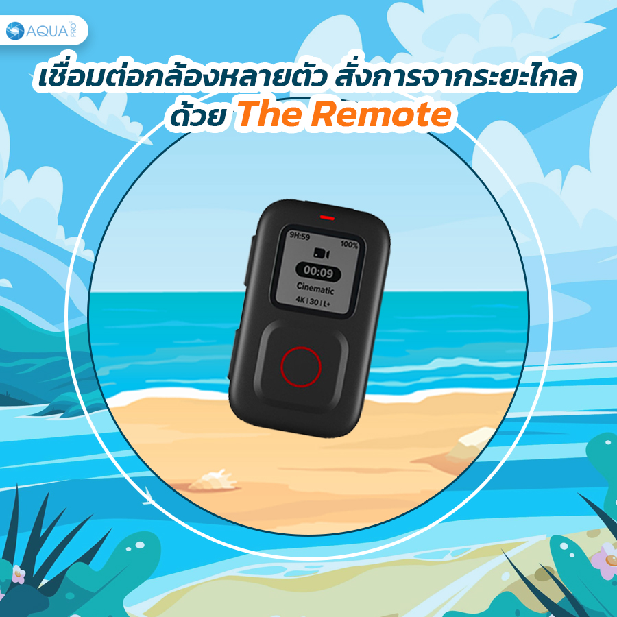 The Remote 