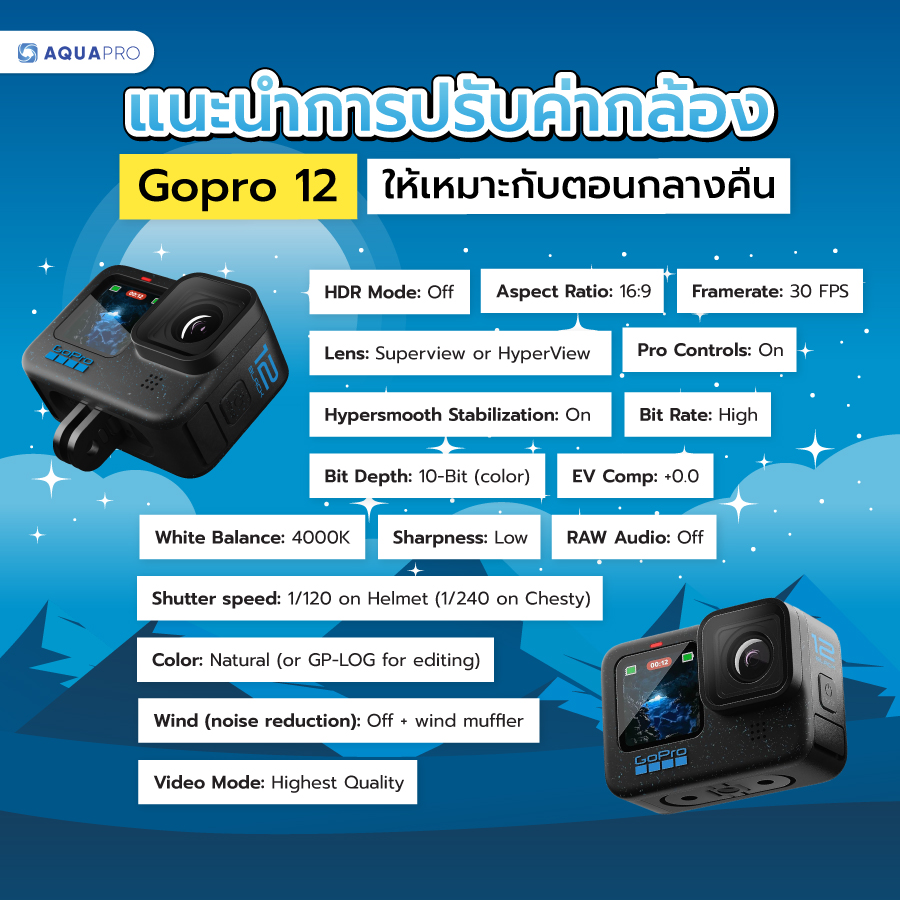 GoPro 12