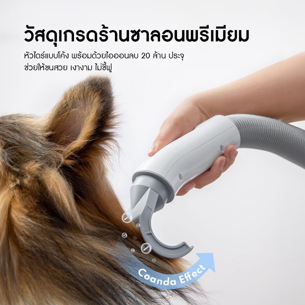 HomeRunPet Pet Blow Dryer PD10 รับประกันศูนย์ไทย 1 ปี - Image 5