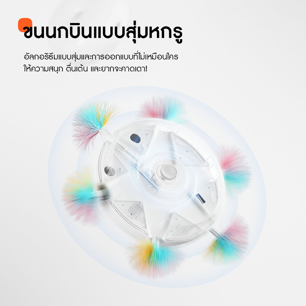 HomeRunPet Cat Teaser รับประกันศูนย์ไทย 1 ปี  - Image 4