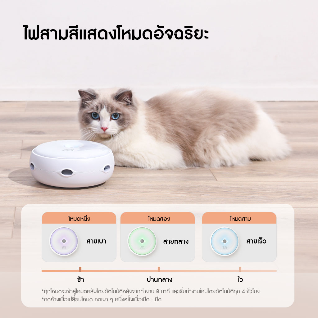 HomeRunPet Cat Teaser รับประกันศูนย์ไทย 1 ปี  - Image 3