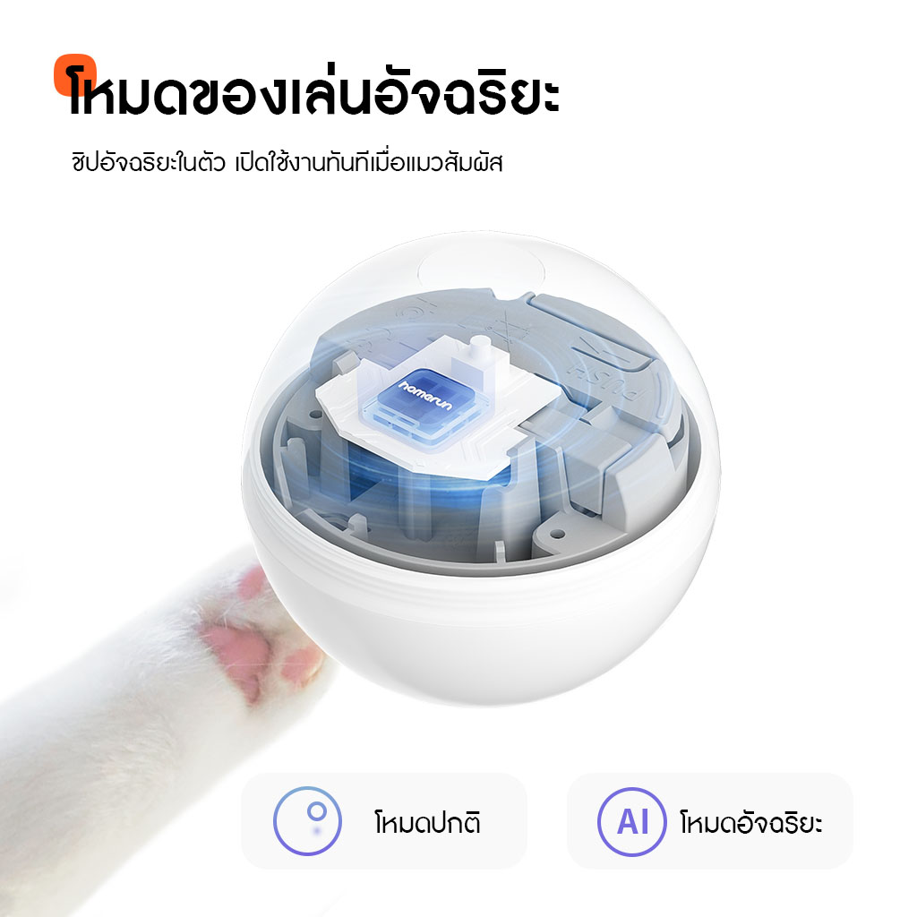 HomeRunPet Cat Play Ball รับประกันศูนย์ไทย 1 ปี - Image 4