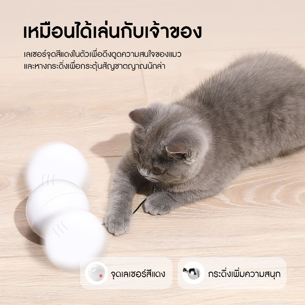 HomeRunPet Cat Play Ball รับประกันศูนย์ไทย 1 ปี - Image 5